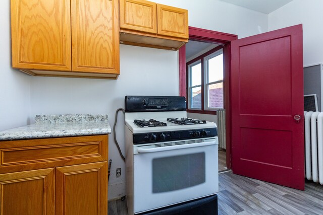 11434 Mcdougall St, Hamtramck, MI 48212 - kitchen featuring white gas range, light wood finished floors, radiator heating unit, and light stone countertops