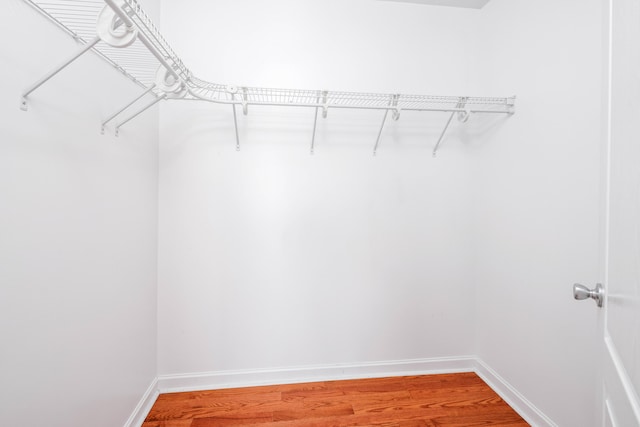 spacious closet with wood-type flooring