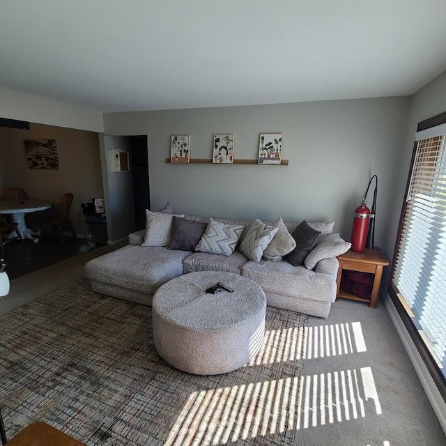 living room featuring carpet floors and a healthy amount of sunlight