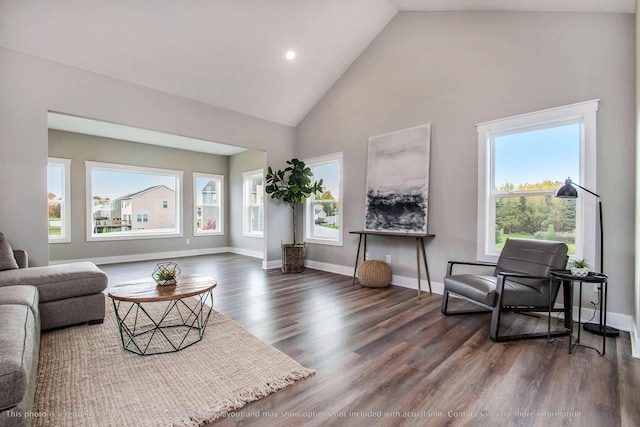 living room with high vaulted ceiling, dark hardwood / wood-style flooring, and a wealth of natural light