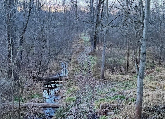 view of landscape