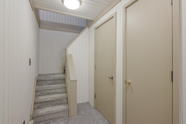 stairway with carpet and wooden walls