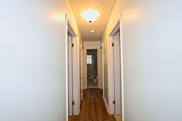 hallway with dark hardwood / wood-style floors