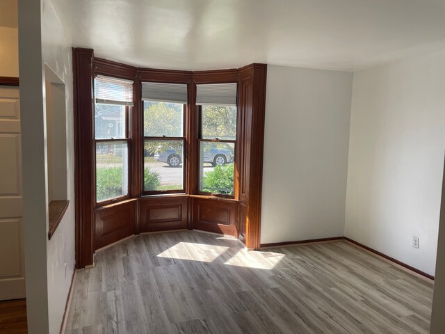 spare room with light wood-type flooring