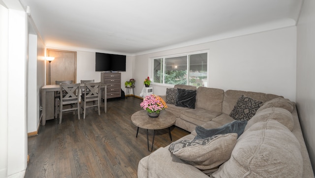 living room with dark hardwood / wood-style floors