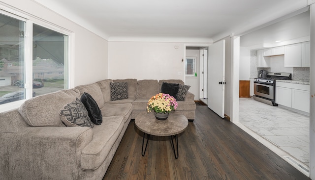 living room featuring hardwood / wood-style flooring