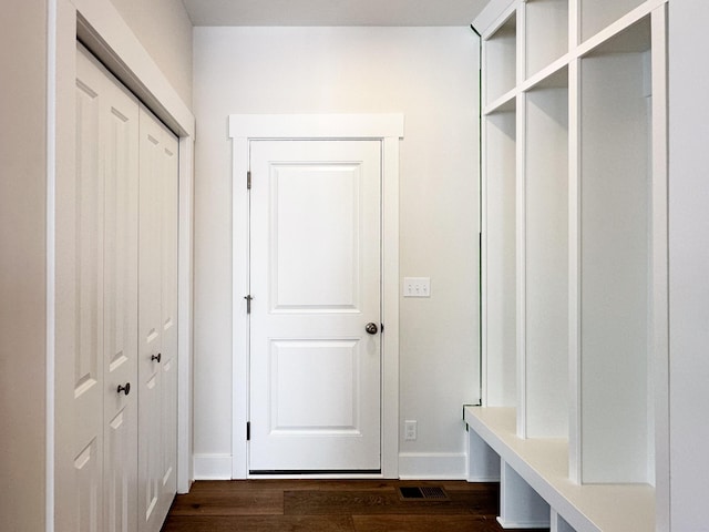 mudroom featuring dark wood-type flooring