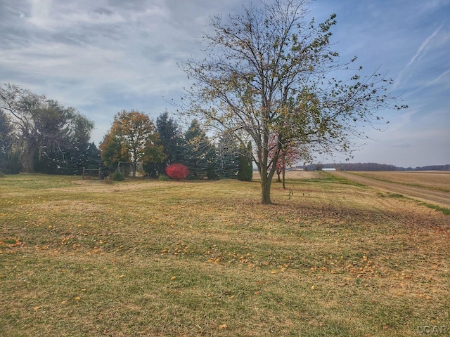 view of yard featuring a rural view