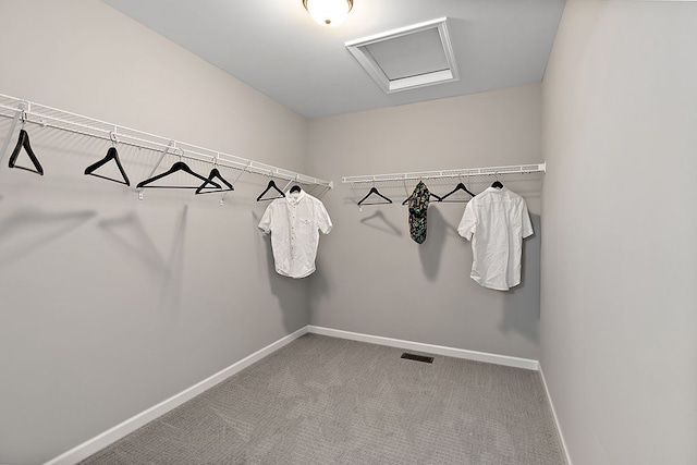 spacious closet featuring carpet