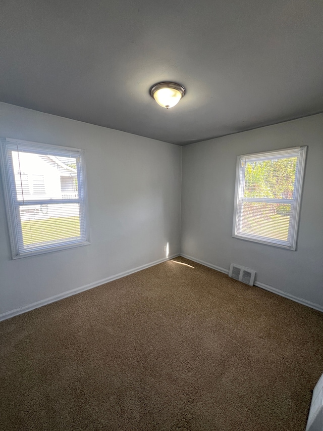 carpeted empty room with a healthy amount of sunlight