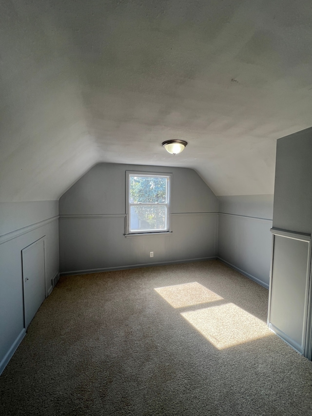 additional living space featuring carpet, lofted ceiling, and a textured ceiling