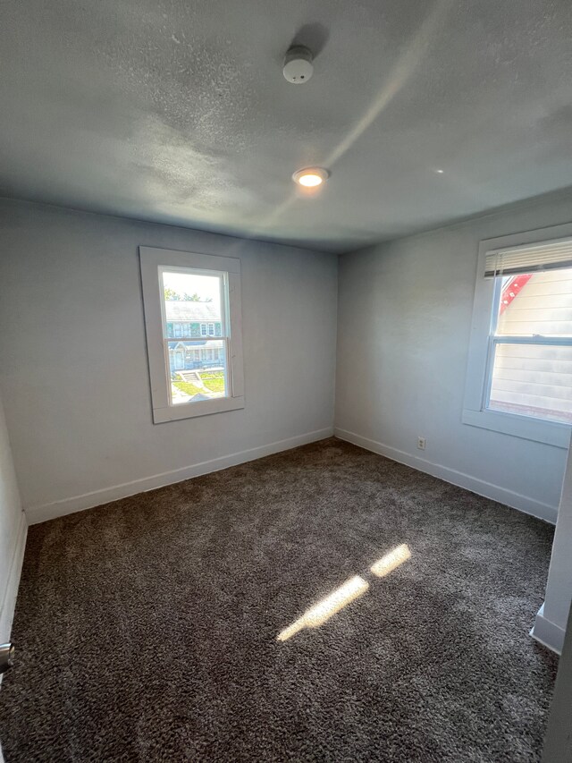15361 Wisconsin St, Detroit, MI 48238 - empty room featuring plenty of natural light, carpet floors, baseboards, and a textured ceiling