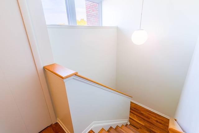 stairs with hardwood / wood-style floors