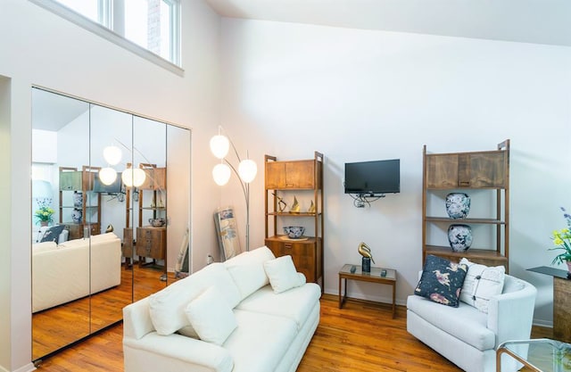 living room featuring hardwood / wood-style flooring and a high ceiling