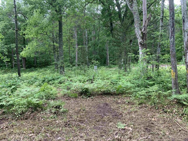 9985 W 30th Rd, Harrietta, MI 49638 - photo 18