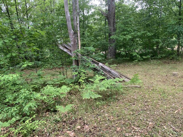 9985 W 30th Rd, Harrietta, MI 49638 - photo 19