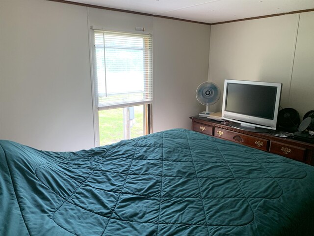 9985 W 30th Rd, Harrietta, MI 49638 - photo 9