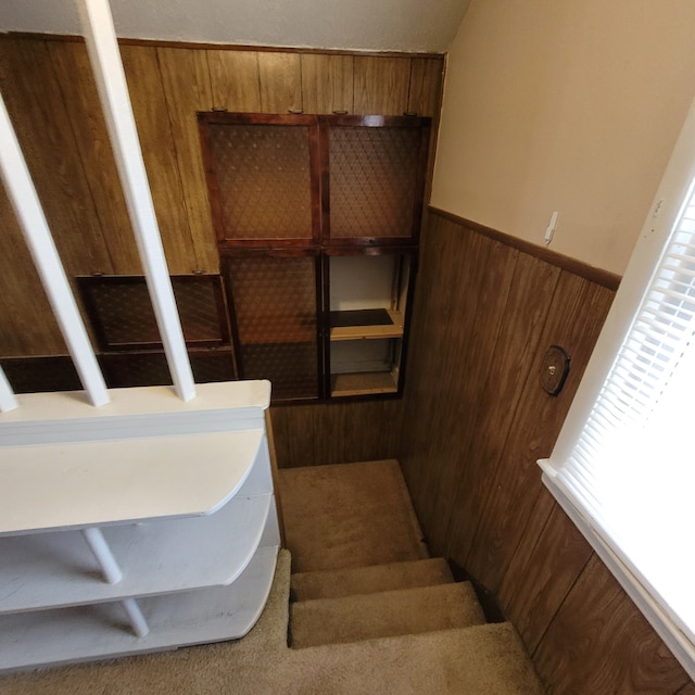 stairway featuring carpet flooring and wooden walls