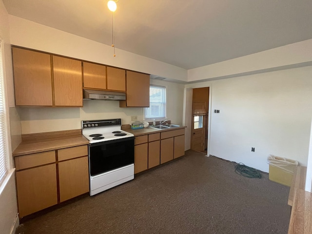 kitchen featuring dark colored carpet, white range with electric stovetop, and sink