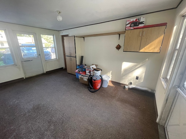 interior space featuring dark colored carpet