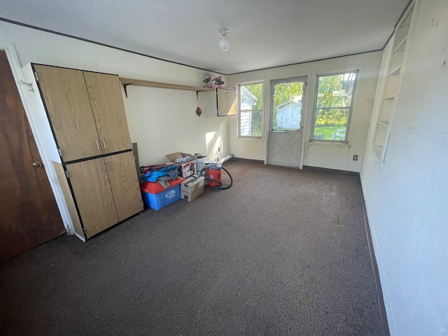 miscellaneous room featuring dark carpet