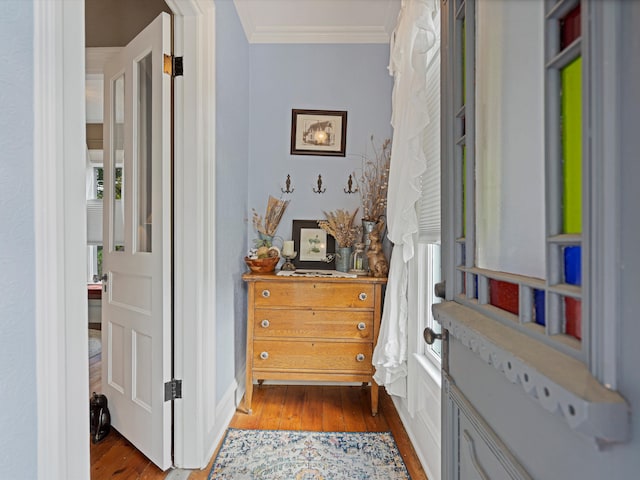 hallway with crown molding and dark wood-type flooring