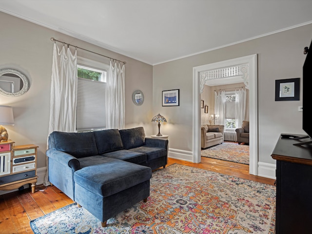 living room with hardwood / wood-style flooring and crown molding