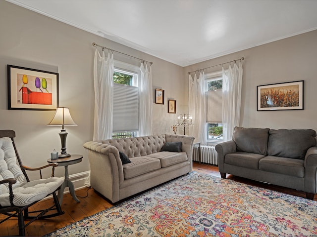 living room featuring radiator, crown molding, and dark wood-type flooring