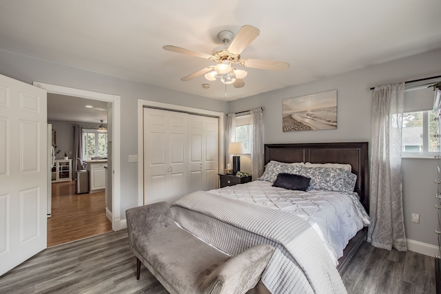 bedroom with multiple windows, ceiling fan, and hardwood / wood-style flooring