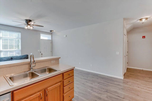 kitchen featuring stainless steel dishwasher, ceiling fan, sink, and light hardwood / wood-style flooring