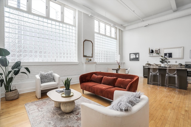 living room with light hardwood / wood-style floors