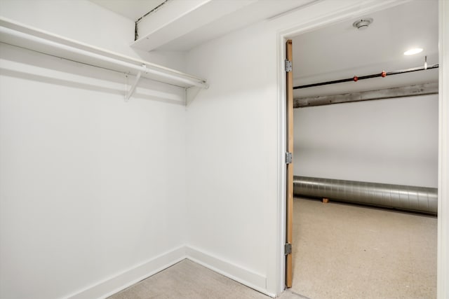 spacious closet with light colored carpet