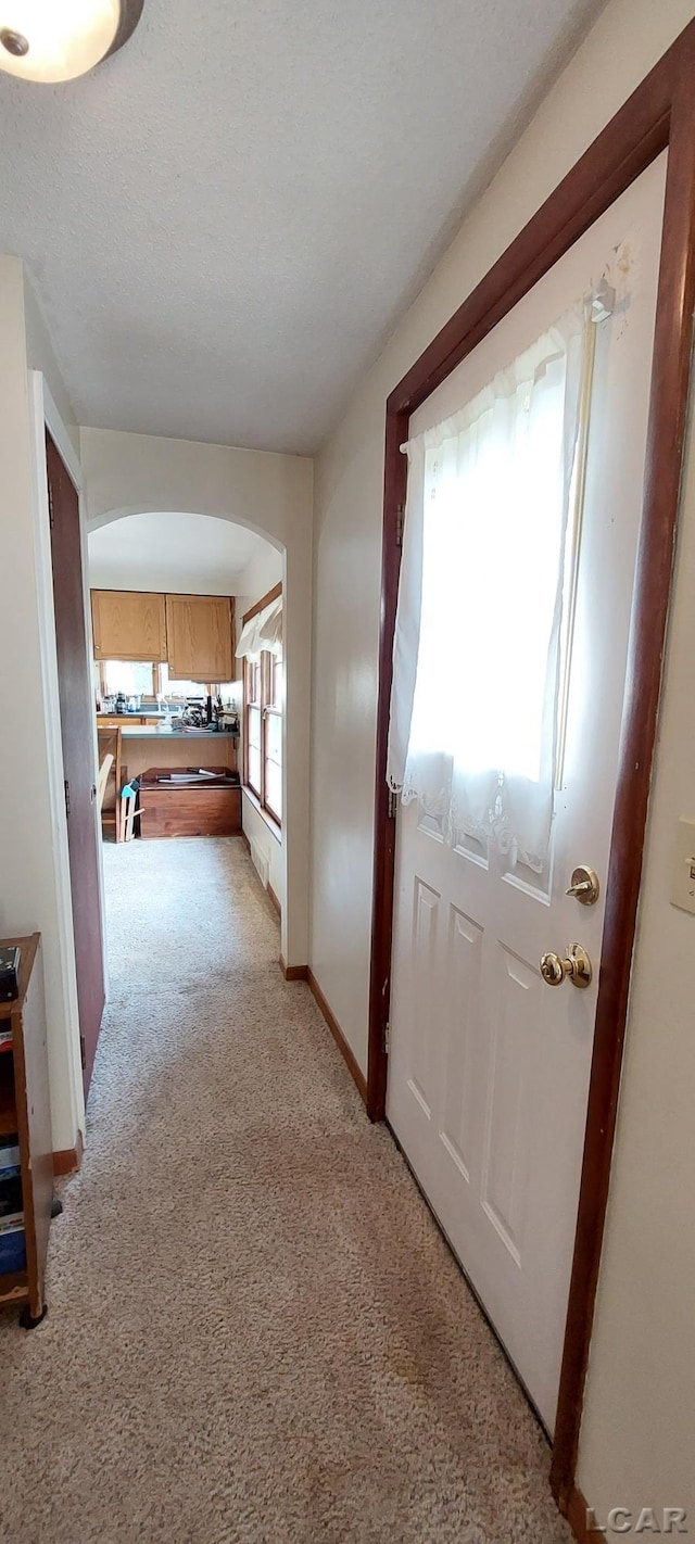 interior space with light colored carpet