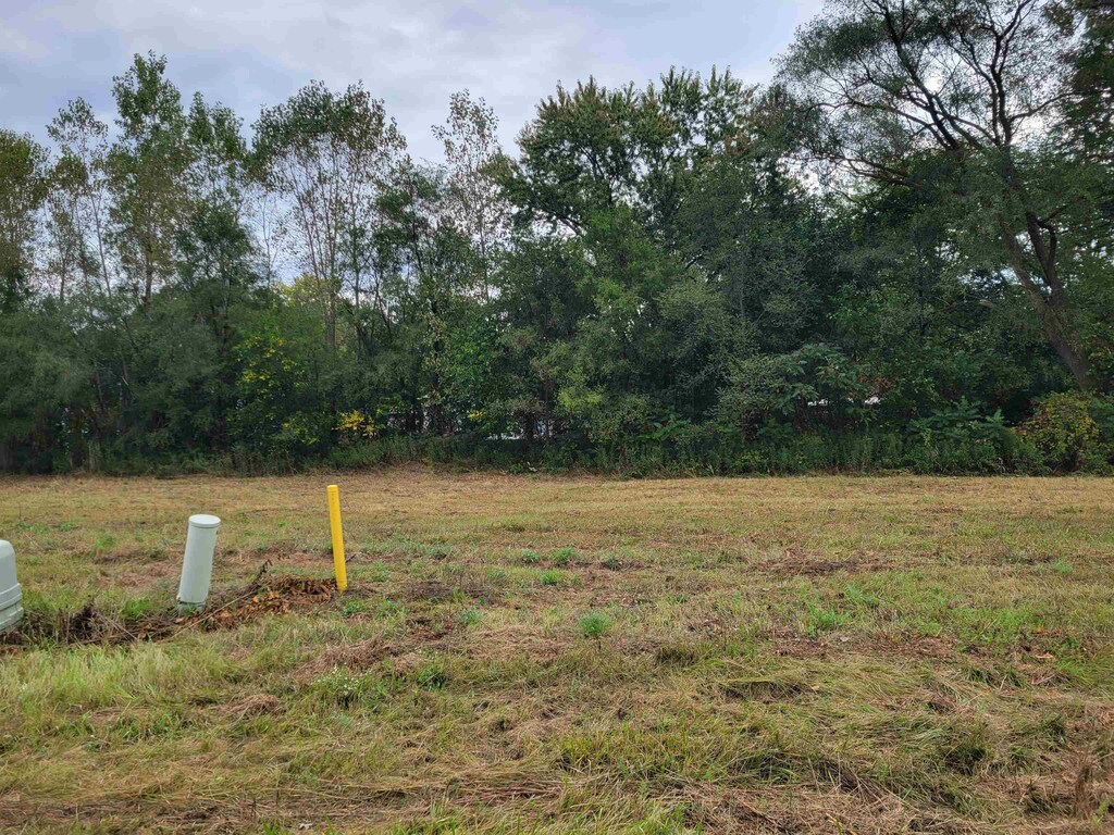 11457 Hidden Oaks Dr, Clio, MI 48420