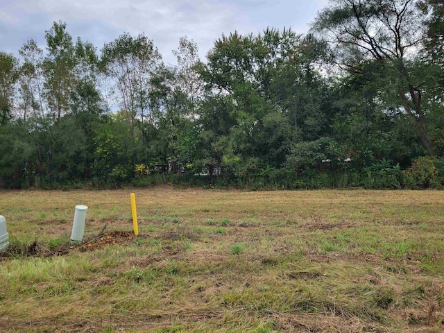 11457 Hidden Oaks Dr, Clio, MI 48420