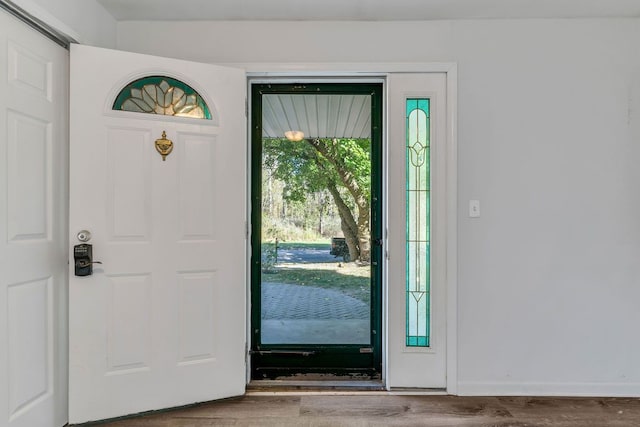 foyer entrance with wood-type flooring