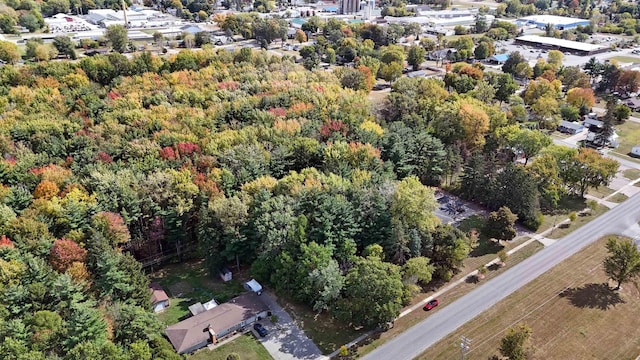 N Fourth St, Chesaning, MI 48616