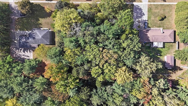 N Fourth St, Chesaning, MI 48616
