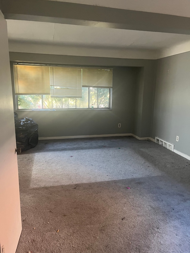 carpeted empty room with a healthy amount of sunlight