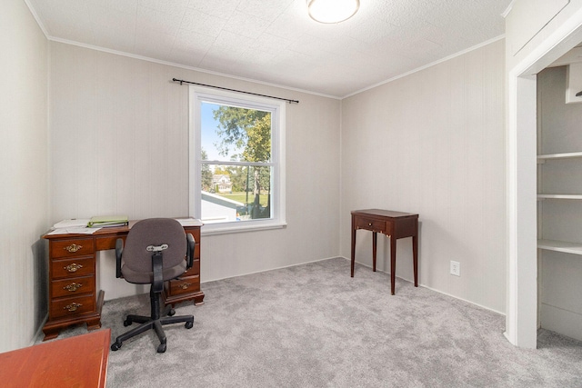 carpeted home office with ornamental molding