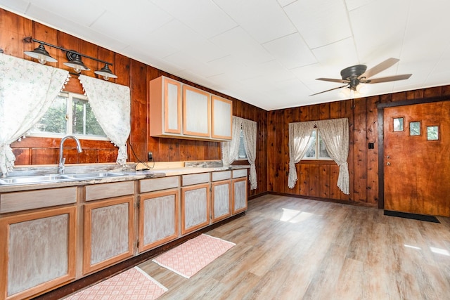 kitchen featuring sink, a healthy amount of sunlight, and wood walls