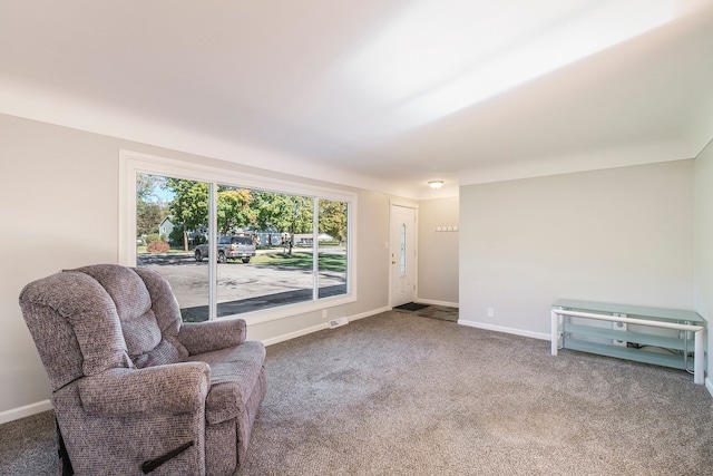 living area with carpet