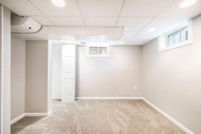 basement with carpet flooring and a paneled ceiling