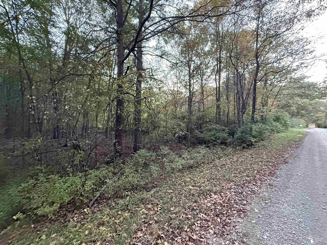 0 Eggert Rd, Dundee, MI 48131