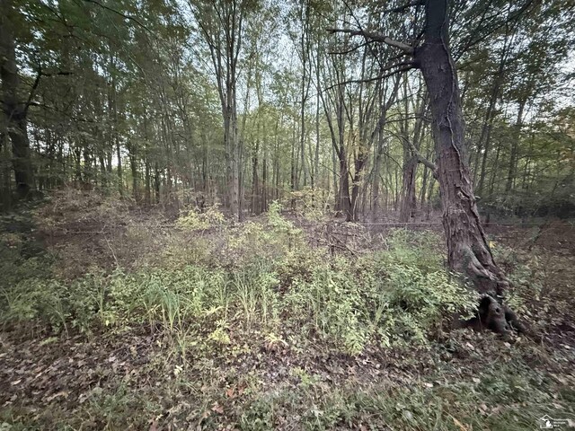 0 Eggert Rd, Dundee, MI 48131