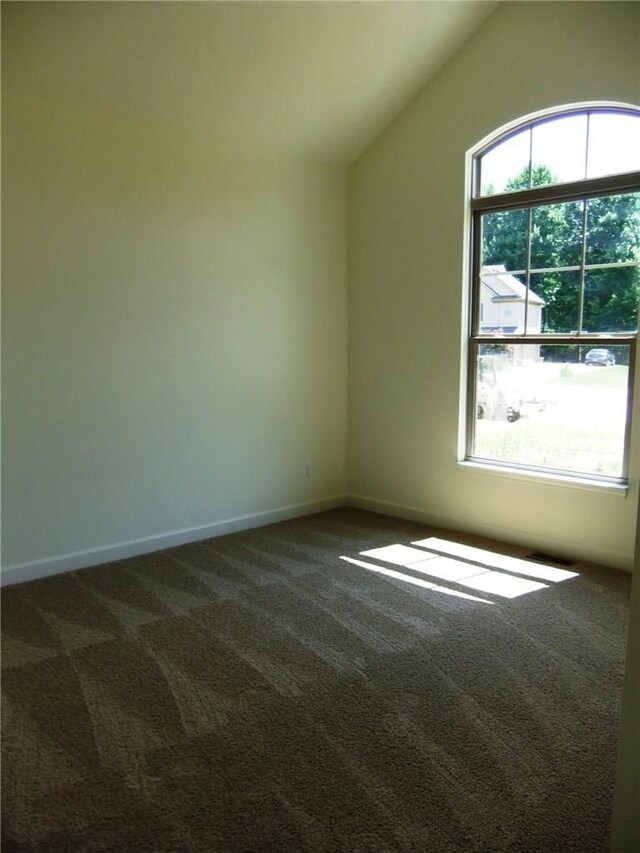 48945 Tuscan Hls, Plymouth, MI 48170 - bonus room with carpet floors, plenty of natural light, vaulted ceiling, and baseboards