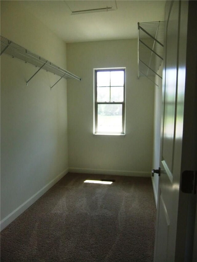 48945 Tuscan Hls, Plymouth, MI 48170 - spacious closet featuring carpet floors