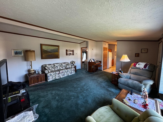 carpeted living room with a textured ceiling