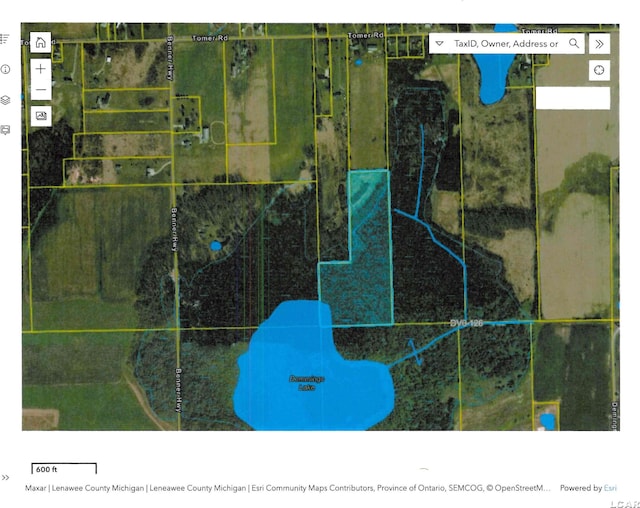 6000 Tomer Rd, Clayton MI, 49235 land for sale