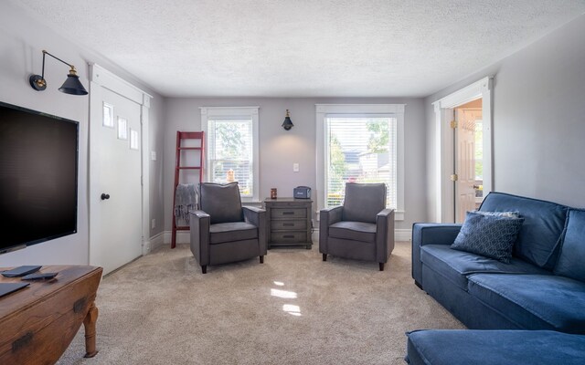 carpeted living room featuring a textured ceiling